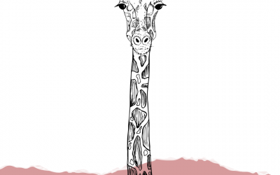 4 Schritte zur Gewaltfreien Kommunikation auf Social Media